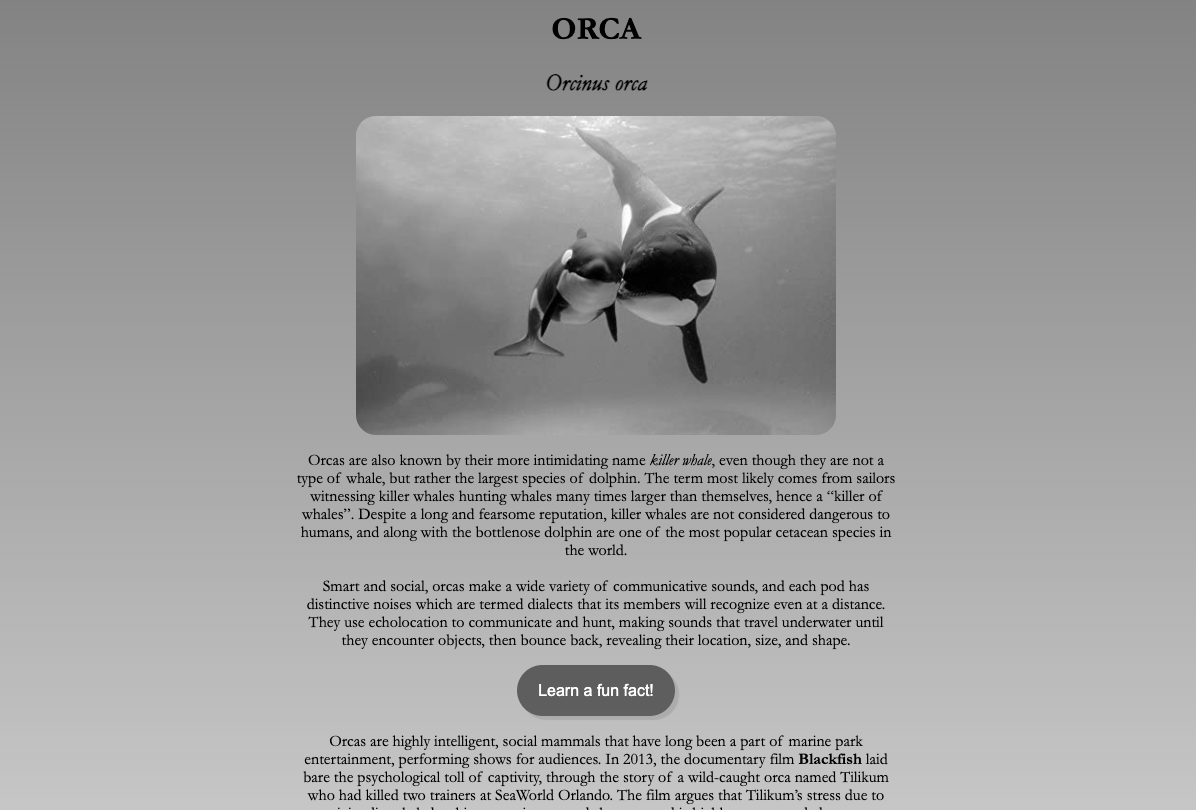 Preview of orca project